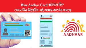 What exactly is Blue Aadhar Card