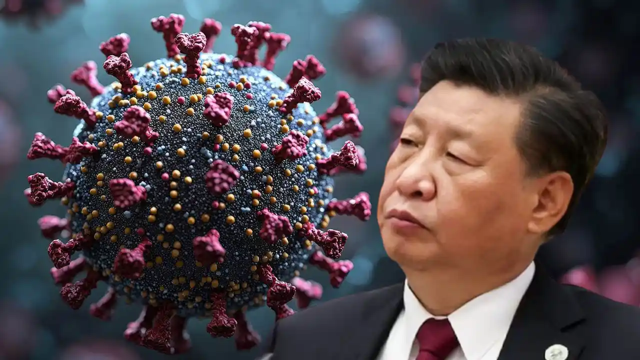 hmpv virus