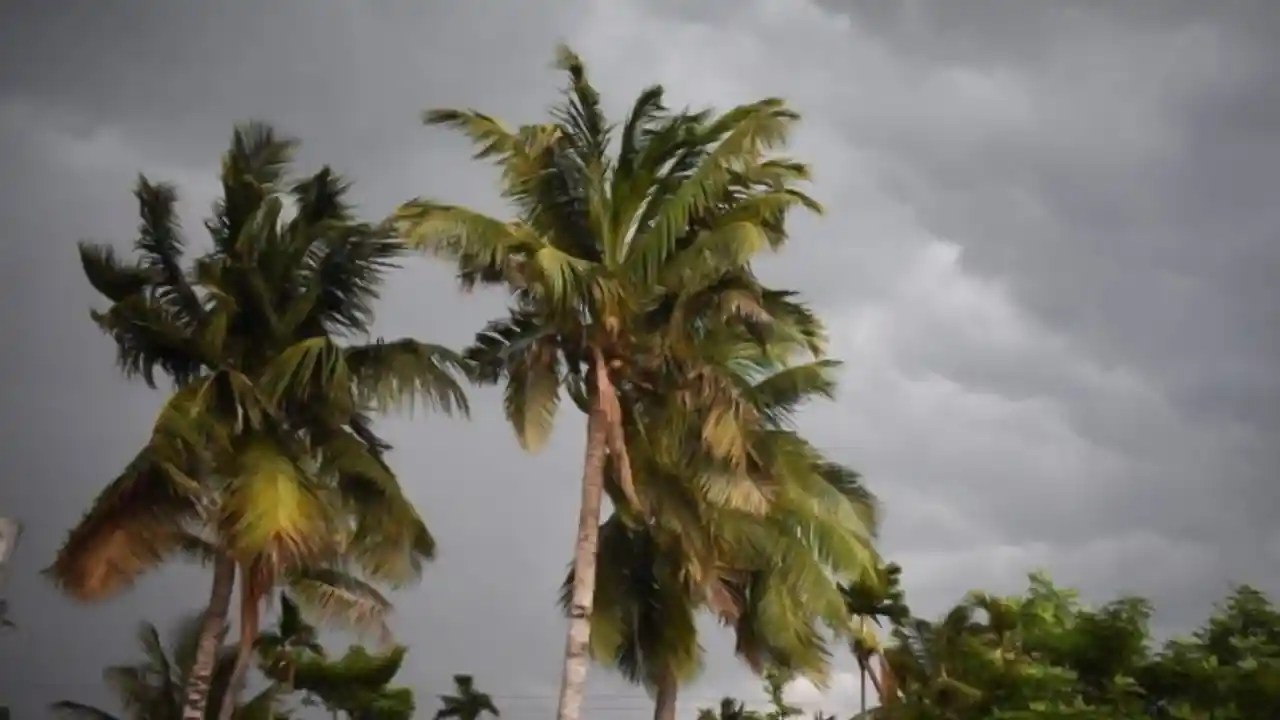 today weather west bengal 19-03-2025