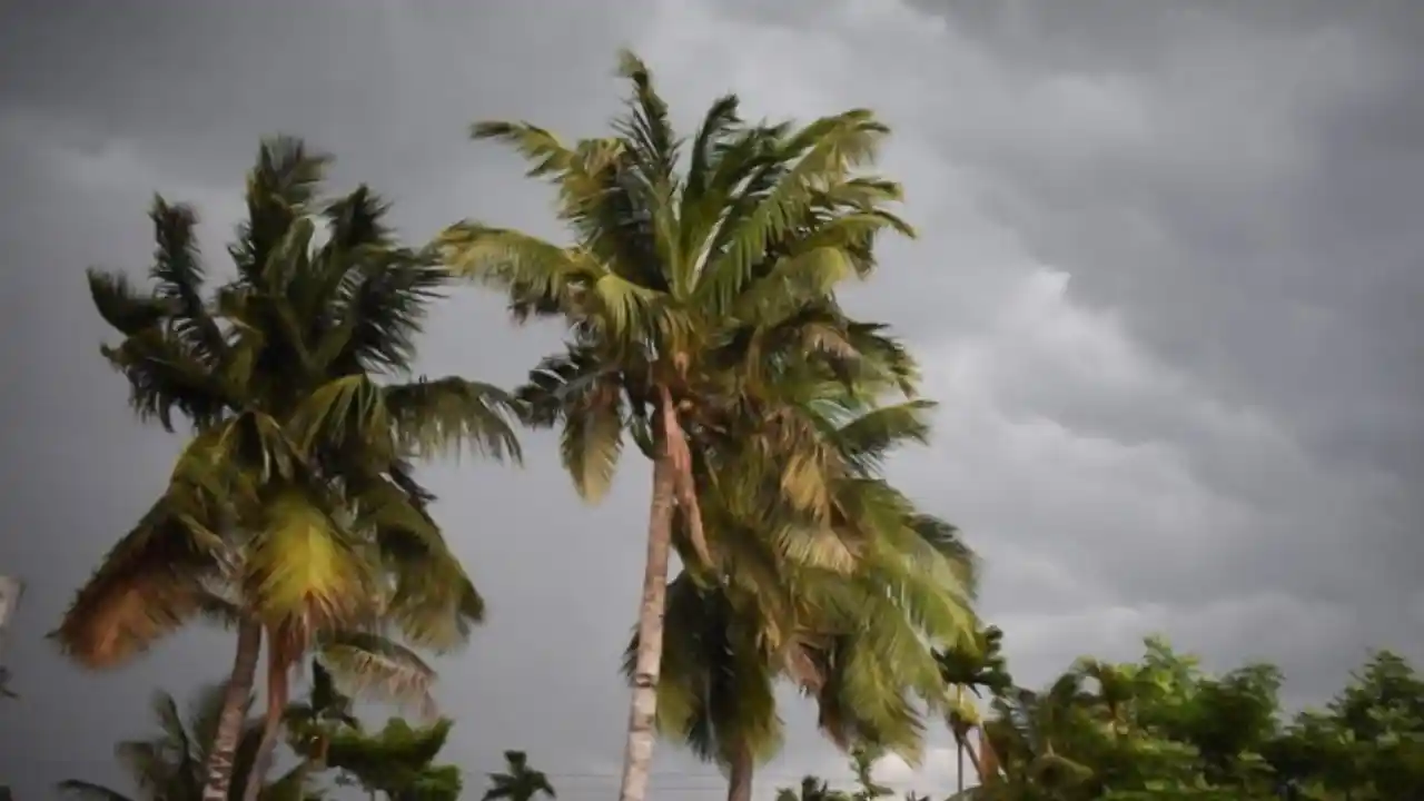 today weather west bengal 22-02-2025