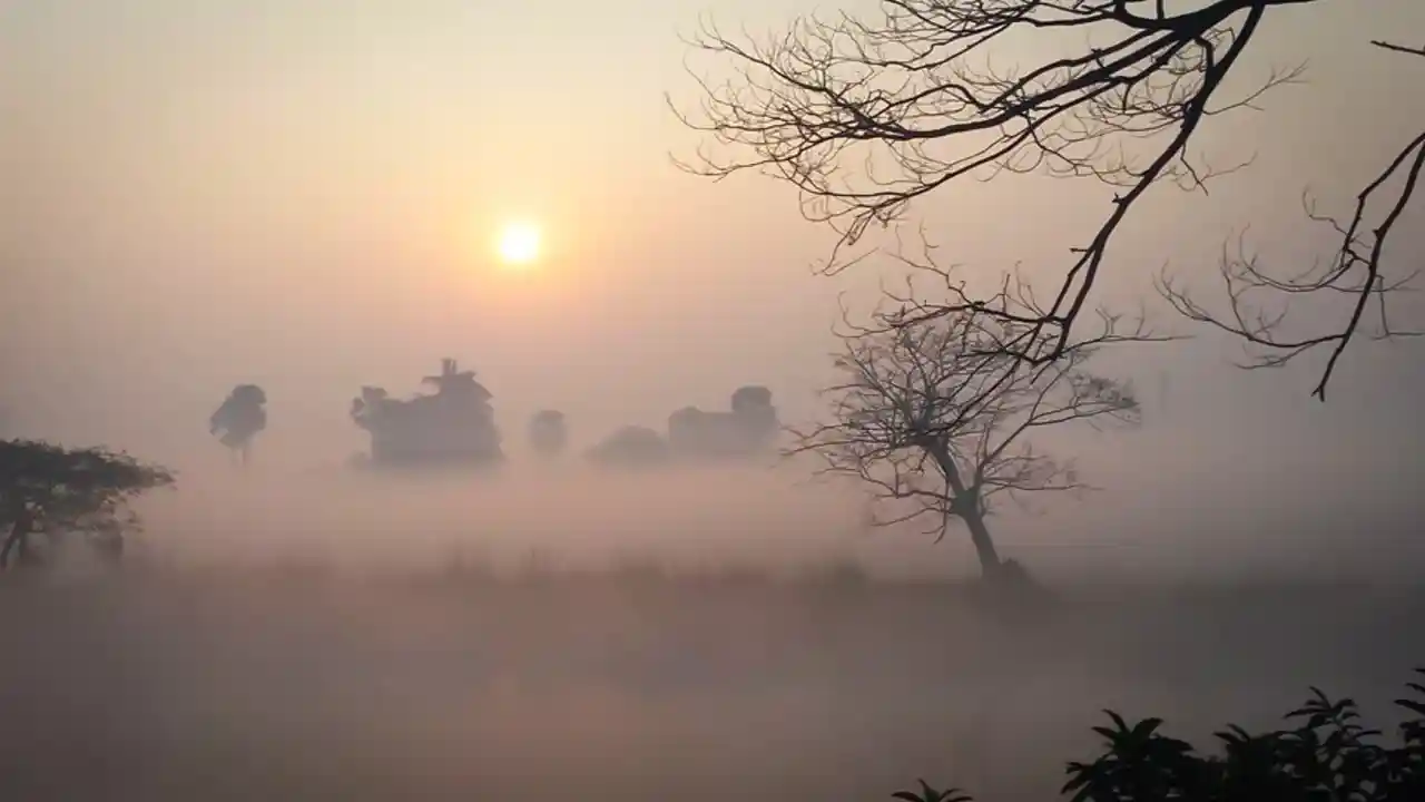 west bengal weather today 14-02-2025